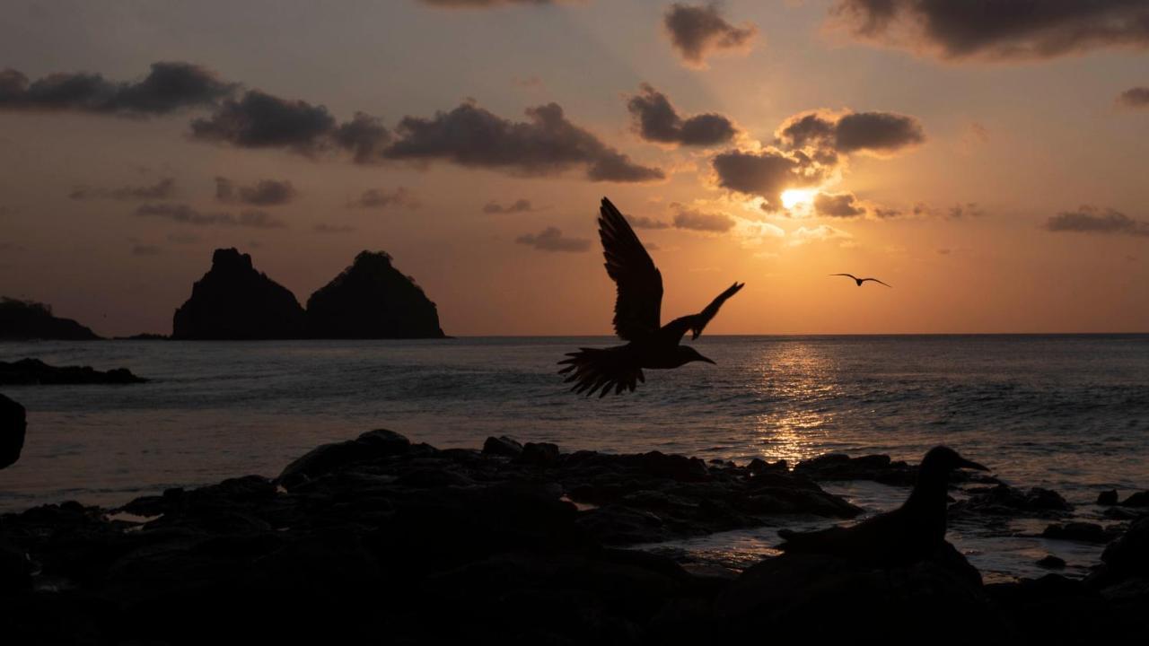 Pousada Naonda Fernando de Noronha Exterior foto